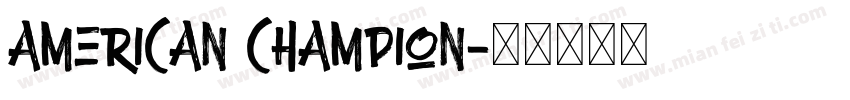 American Champion字体转换